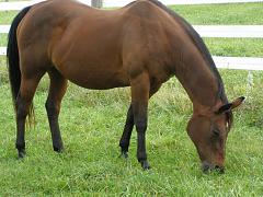 2008_0921AR
