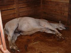 2006_0806AC