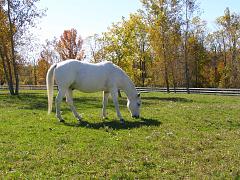 2008_1011AB