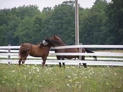 2007_0810AB