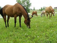 2007_0810AK