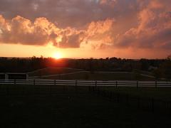 2007_1009AO