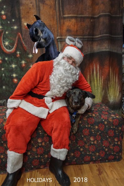 Christmas 2018