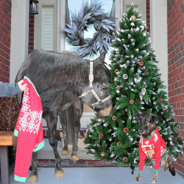 Christmas 2019