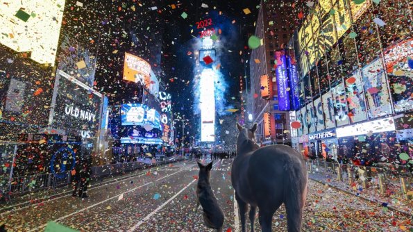 New Year's 2022