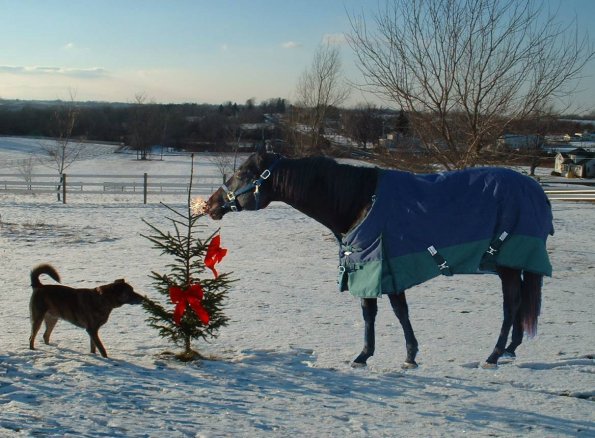 Christmas 2005