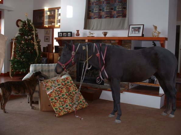 Christmas 2006