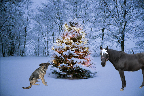 Christmas 2015