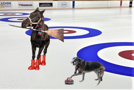 Charlie and Eddie curling